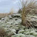 Atlantik-pelzer Apartament *