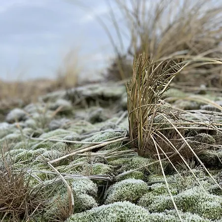 Atlantik-pelzer Apartament *